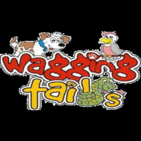 Photo: Wagging Tails Pet Services